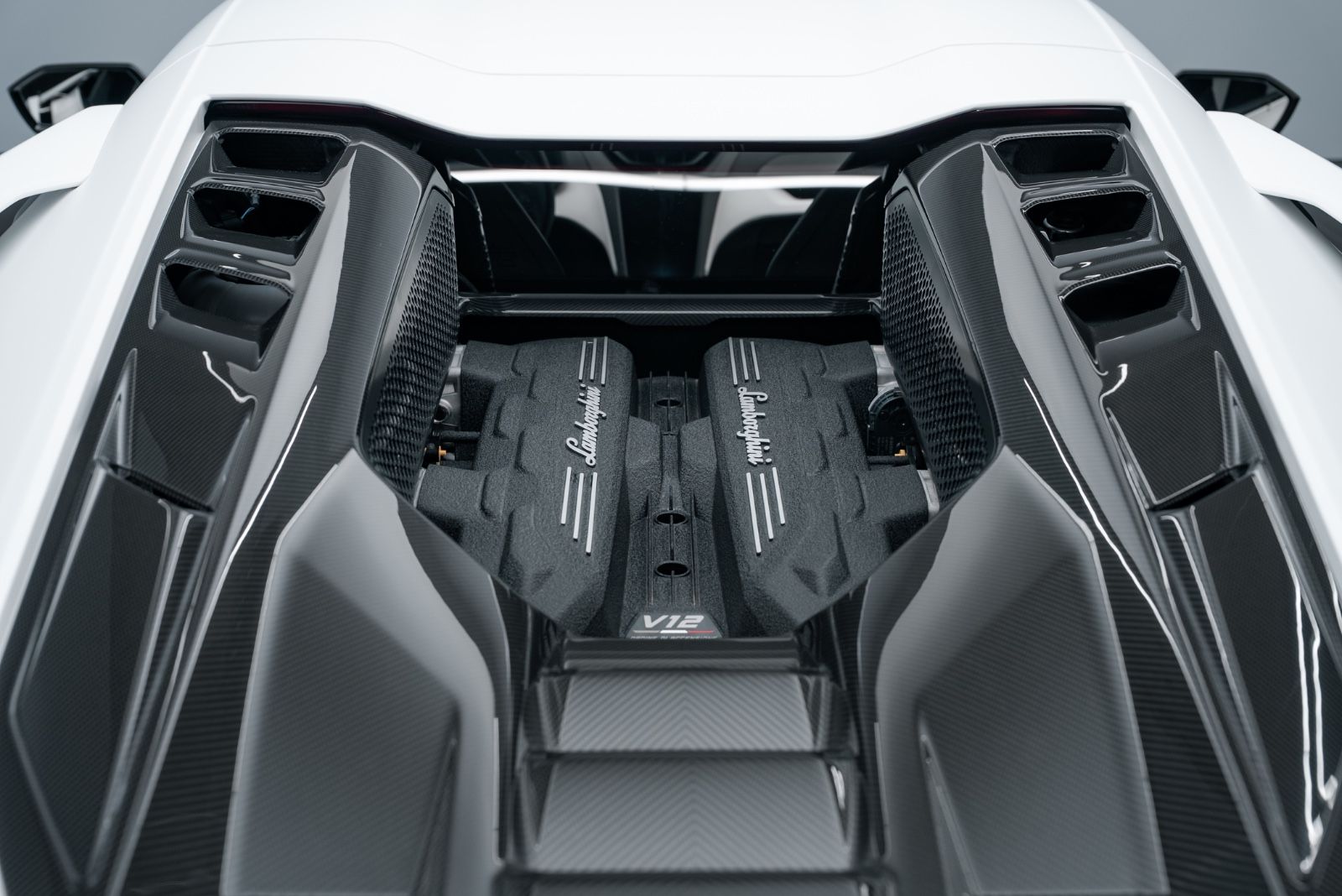 Fahrzeugabbildung Lamborghini REVUELTO CARBON/CAM/PASS DISPLAY