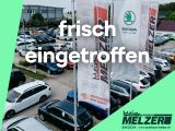 Skoda Kamiq DRIVE 125 1.6 TDI NAVI+PANO+SHZ+PARK-PILOT - Skoda Kamiq: Drive