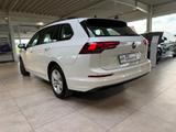 Volkswagen Golf VIII Variant 2.0 TDI DSG Life * ACC * NAVI* - Volkswagen Golf: Vii