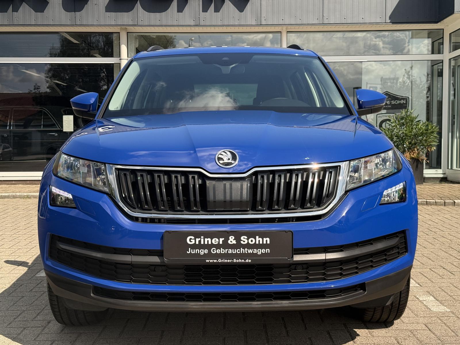 Skoda Kodiaq Ambition,AHK,R-Kamera,ACC,CarPlay,Winter
