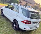 Mercedes-Benz Mercedes ML 250-4Matic-Panorama-Xenon-Scheckheft - weiße Mercedes-Benz ML-Klasse