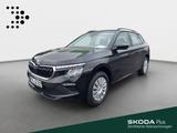 Skoda Kamiq Essence - Skoda Kamiq Tageszulassungen