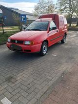 Volkswagen VW  Ceddy 1.9 SDI TÜV  Neu - Volkswagen Golf: Sdi