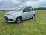 Fiat New Panda 1,2 8V 51kw / 1.Hand NUR 22... - Fiat New Panda von privat