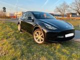Tesla Model Y SR RWD Standard + AHK + 8-fach bereift  - Tesla Model Y: Sr
