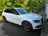 Audi SQ5 3.0 TDI competition tiptronic quattro - - Audi SQ5 Gebrauchtwagen in Mülheim (Ruhr)