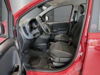 Fiat New Panda - Vorschau Bild 7