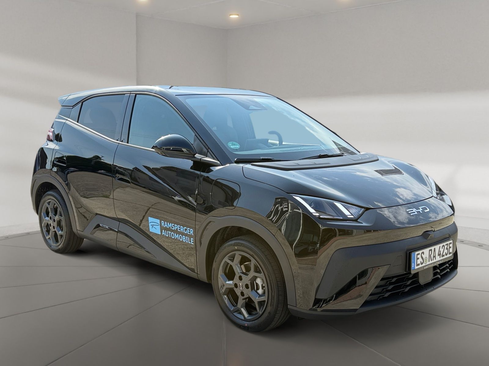 BYD DOLPHIN SURF