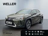 Lexus UX 250h Style Edition *Bi-LED*ACC*CAM*SHZ*CarPla