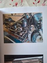 Harley-Davidson FXST Fat Boy Gespann