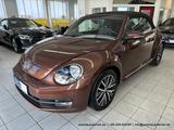Volkswagen Beetle Cabriolet 1.4 Aut - nur 52 tkm - KAM NAVI - Volkswagen Beetle: Cabrio