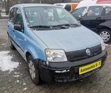 Fiat Panda 1.1 8V Active - Fiat Panda Gebrauchtwagen in Duisburg