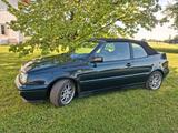 Volkswagen VW Golf 3 Cabrio Classic Edition - Volkswagen Golf aus 1996: Cabrio