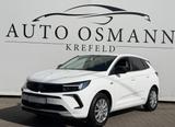 Opel Grandland 1.5 D Automatik Business Elegance /ACC - Opel Grandland (X) Business-Elegance mit Diesel-Antrieb
