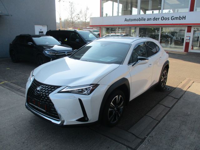 Lexus UX250h Style Edition, Kamera, SHZ, TWW, Apple/An