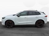 Cupra Terramar VZ 2.0 TSI 4DRIVE*20Z*PANO*RFK*MATRIX*A - Cupra Terramar Gebrauchtwagen