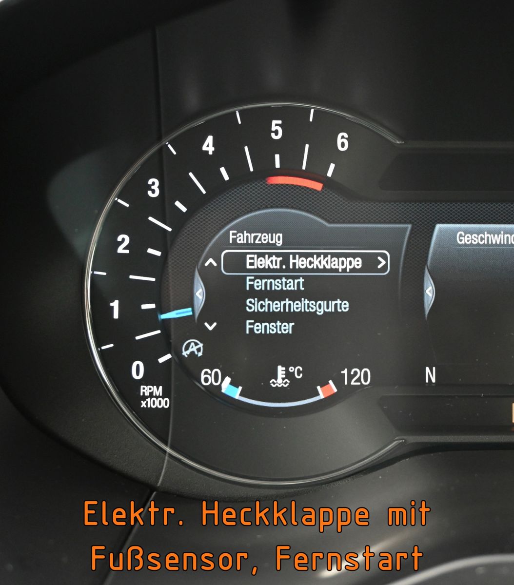 Fahrzeugabbildung Ford Galaxy 2.0 D AWD VIGNALE °ACC°AHK°PANO°STANDHEIZ