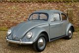 Volkswagen Beetle Oval Window Beetle Desirable and iconic ' - Autos aus dem Jahr 1955
