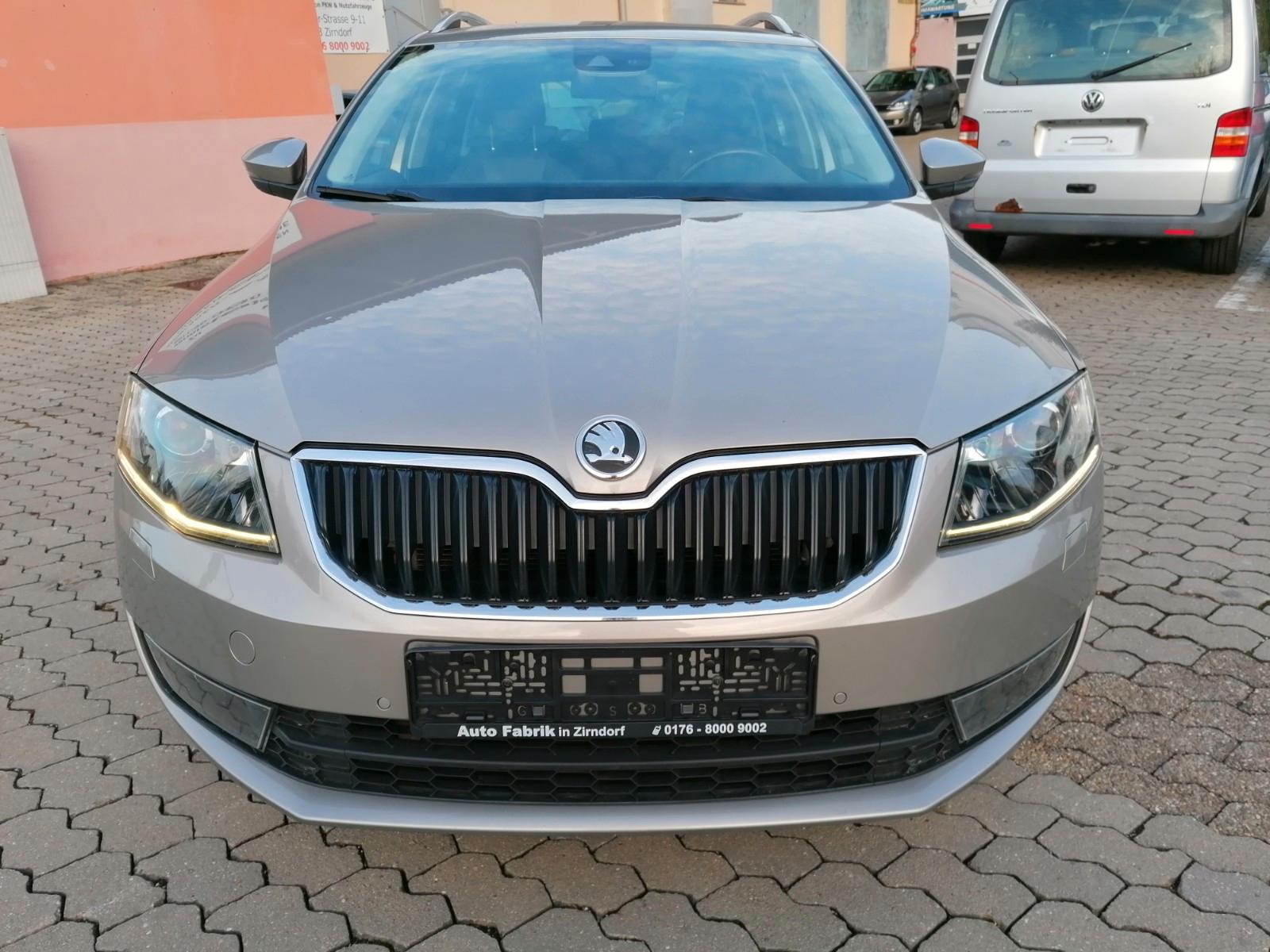 Skoda Octavia 2.0 TDI DSG / Xenon / Standheizung