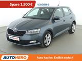 Skoda Fabia 1.0 TSI Cool Plus *PDC*SHZ* - Skoda Fabia Gebrauchtwagen in Mainz