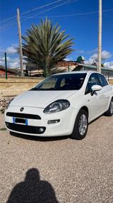 Fiat Punto 1.3 MJT II 75 CV 5 porte Street - Fiat Punto STREET mit Diesel-Antrieb