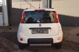 Fiat Panda Wild 4x4 / ALLRAD - gebrauchte Fiat Panda aus dem Jahr 2019