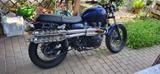 Triumph Scrambler 900 EFI - Offers matching your search criteria