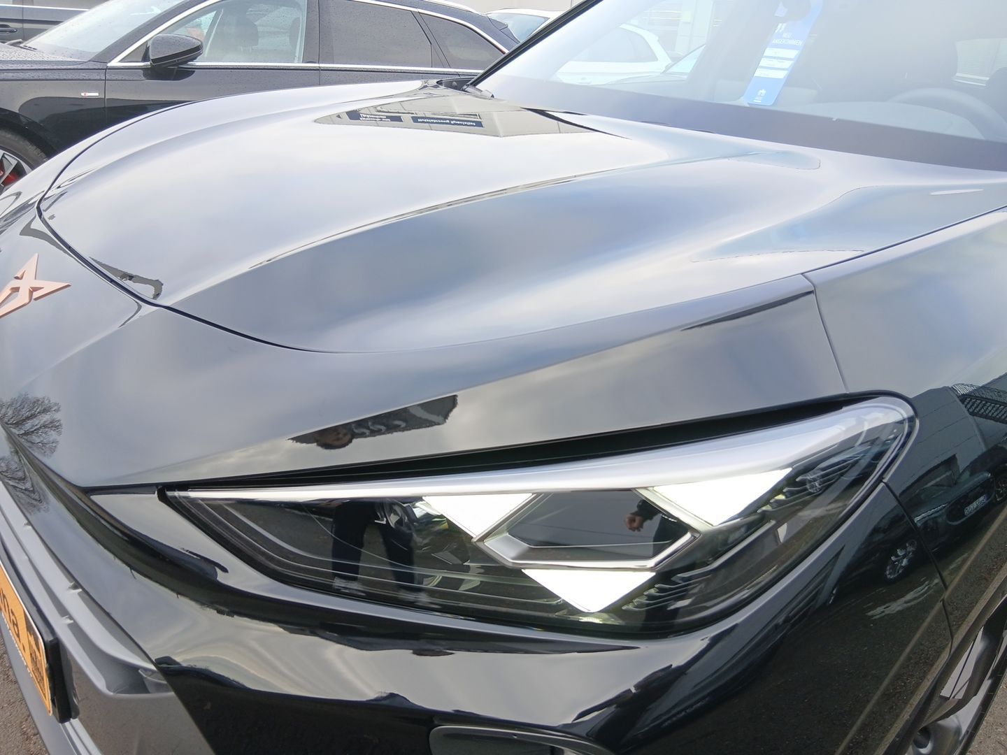 Cupra Terramar - Bild 8
