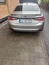 Lexus ES 300 300h Luxury Line Automatik Luxury Line  - Lexus ES 300 aus 2024