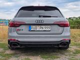 Audi RS4 2.9 TFSI - TÜV & Inspektion NEU, Garantie - Audi RS4 aus 2020