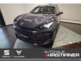 Cupra Terramar VZ 1.5 e-Hybrid Navi/ SHZ/ Matrix/ S... - Cupra Terramar mit Panoramadach