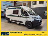 Chausson V594S FIRST LINE  / MODELL 2026 / NUR 5.41M. - Chausson Neu