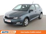 Skoda Fabia 1.0 TSI Ambition*TEMPO*PDC*SHZ*KLIMA* - Skoda Fabia Gebrauchtwagen in Köln