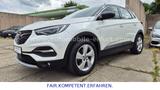 Opel Grandland X*Innovation*LEDER*NAVI*AHK*LED*CAM* - Opel Grandland (X) in Erfurt