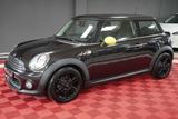 MINI One Salt BRICK LANE PANORAMADACH - MINI MINI: Braun