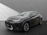 Lexus UX 250h*STYLE*1HD*ALLW.* 15J-GARANTIE* - Lexus aus 2023