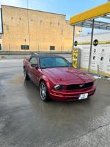 Ford Mustang - gebrauchte Ford Mustang aus dem Jahr 2007