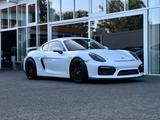 Porsche Cayman 981 GT4 Clubsport*Schale*Xenon*Schalter - Porsche Cayman aus 2015