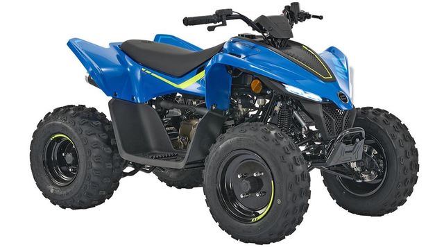 CFMOTO C-Force 110, Kinder-Quad, Benzin Motor