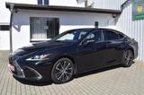 Lexus ES 300h Executive Line LED Leder ACC SHZ+Lüftung - Lexus ES-Serie Gebrauchtwagen
