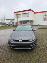 Volkswagen Golf VII Baujahr 2019 zu verkaufen  - Volkswagen Golf: Verkaufen