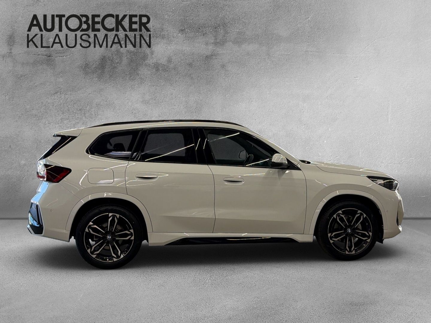 BMW X1 xDrive 20d M SPORT 19'' LC PROF HuD AHK PANO foto 4