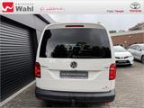 Volkswagen Caddy Maxi 1.4 TSI BMT Trendline - VW Caddy Maxi Benzin Gebrauchtwagen