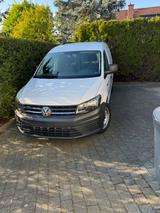 Volkswagen Caddy Maxi - Angebote