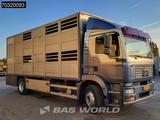 MAN TGM 18.240 N18 4X2 NL-Truck 2 decks cattle trans - MAN 4x4