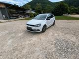 Volkswagen Polo 1.2 TSI 66kW Fresh BMT Fresh BlueMotion... - Volkswagen Polo: Fresh