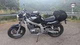 Suzuki GS500 E - Offers matching your search criteria