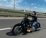 Harley-Davidson Dyna    - HARLEY-DAVIDSON 2007 DYNA