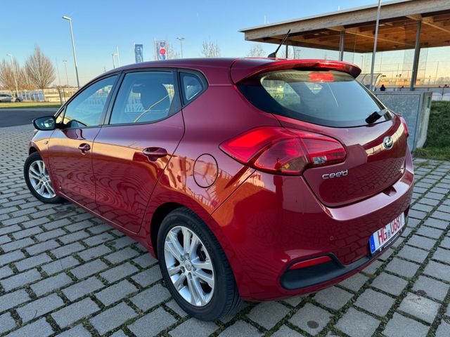 Kia 1.4 Ceed Edition7 Klima Pdc  Sitzheizung Tüv-Neu