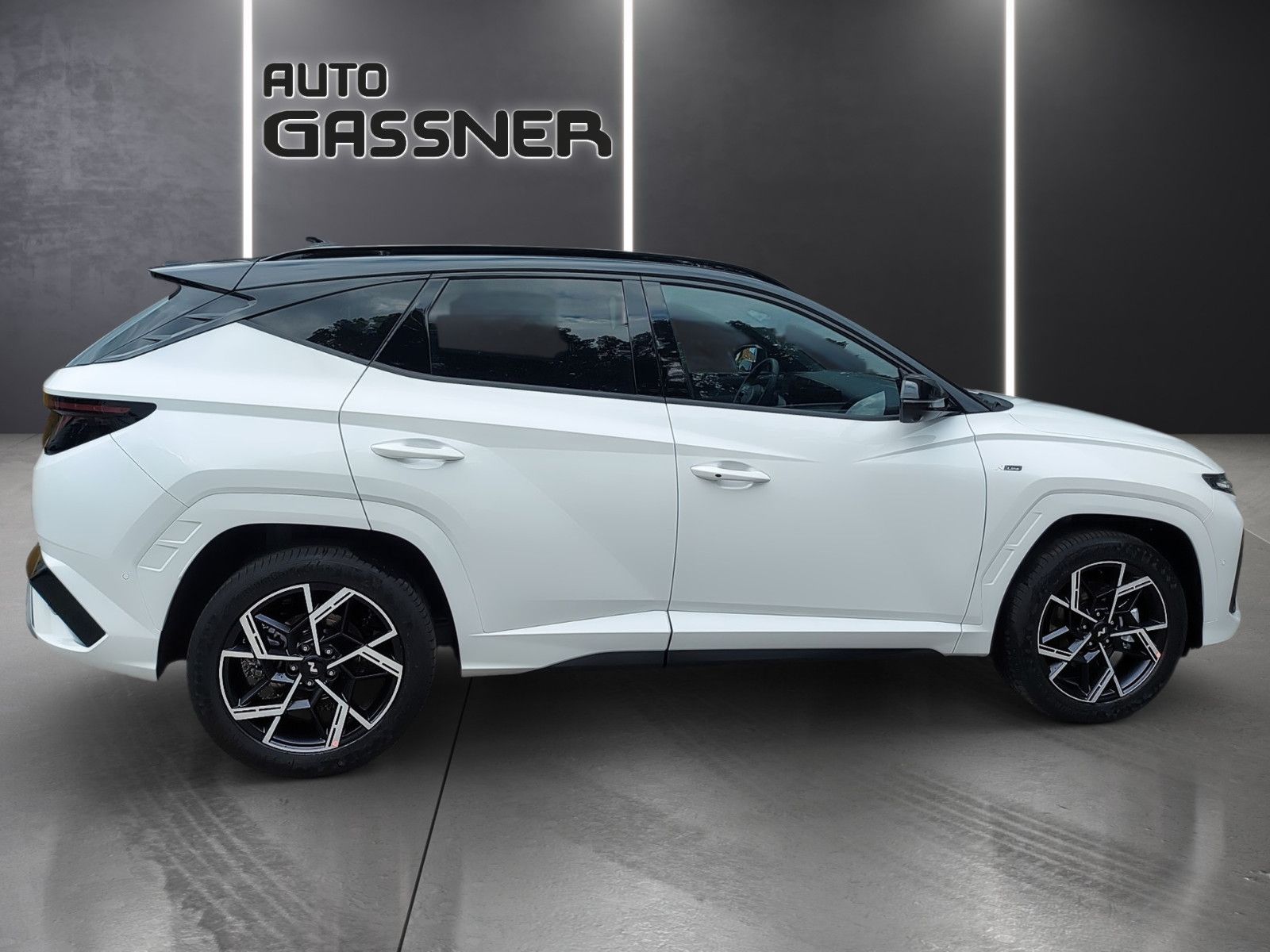 Fahrzeugabbildung Hyundai Tucson 160 PS N Line 4WD DCT Assip. Sitzp DL ECS